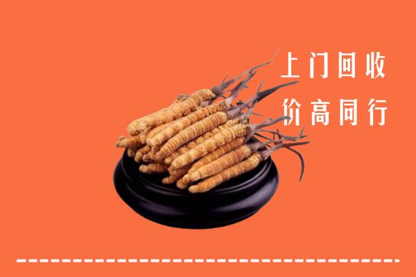 井陉县高价冬虫夏草回收多少钱每克