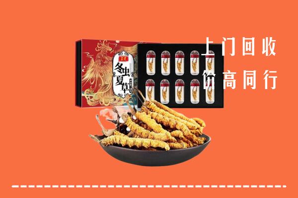 收购行情：井陉县回收虫草